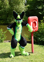 Green Kangaroo, Green Grass