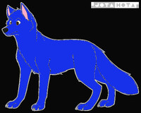 Sean "Sonny" Gibbs Jr. (Wolf) (Feral)