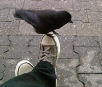 my new little friend