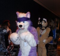 FC 2011 - Fursuit Parade