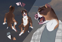 ADOPT FIX