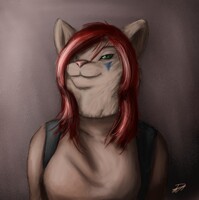 Flopsided the Lion (c) of TY RUFUS