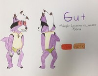 Gut the Midnight Lycario