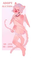 PINK ANGEL FELINE ADOPT OPEN