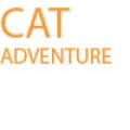 Black Cat's Big Adventure (not so big and not so adventurous