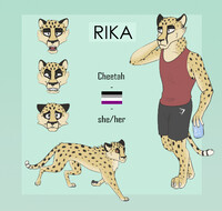 rika the cheetah!