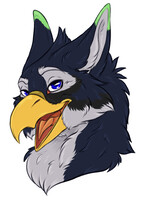 ToumakTheGryph - Portrait