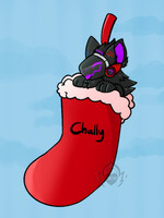 Stocking Chally
