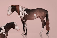 №659 Horse Adopt Auction [CLOSED]