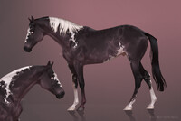 №662 Horse Adopt Auction [OPEN]