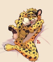 Pawb
