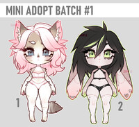 [ MINI ADOPT BATCH ] #1 [ CLOSED ]