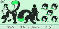 comm 44: Ziko ref sheet (1/3)