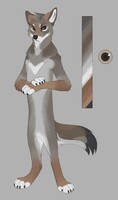 [C] Koyote