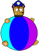 Chase in Beachball Swimsuit