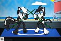 Geoffrey and Hershey st John beach sparring