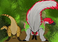 Uncommon Booty Flash