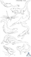 Some carboniferous fellas