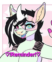 Zonkey[ REMINDER]
