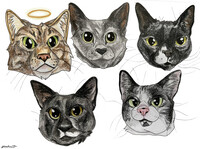 Cat Portraits
