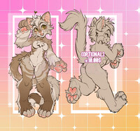 Lykoi cat adopt - CLOSED