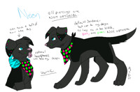 Neon ref 2011