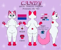 Candy Reference Sheet
