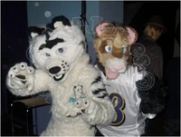 Pawz Fursuiting