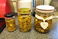 Pickled Jalapenos