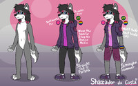 Shaz Outfitting