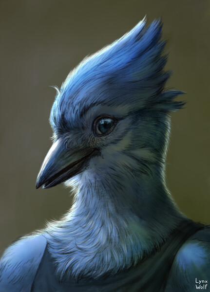 Blue jay by Blooming~Lynx -- Fur Affinity [dot] net