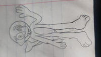 Fynn fauces