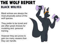 The Wolf Report - Black Wolves