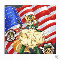 Happy 4th From Lt. Vixen