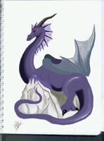 purple dragon