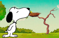 Acordando o Seu Melhor Amigo, com um Beijo!