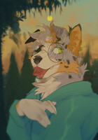 [AF] Drinking up the Sunshine