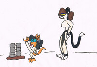 Polo 's little warrior