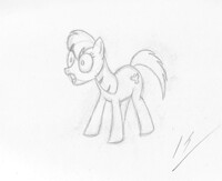 Raven MLP