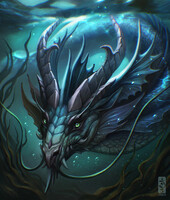 The gaze of the seadragon