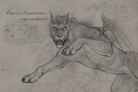 sheet from the bestiary