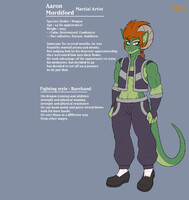 Aaron Reference extension 2