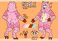 Charlie Reference Sheet