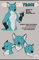 Refsheet - Trace 1/6