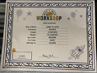 Waves's Birth Certificate