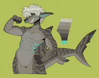 tiger shark /closed