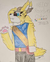 Anthro/Furry Redesign Oc: Roselyn