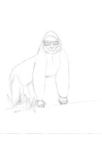 Feb 19 draw every day submission