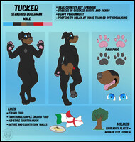 [COMMISSION] Tucker Reference Sheet