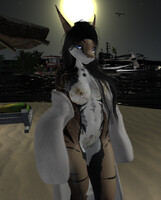 Fur Coat